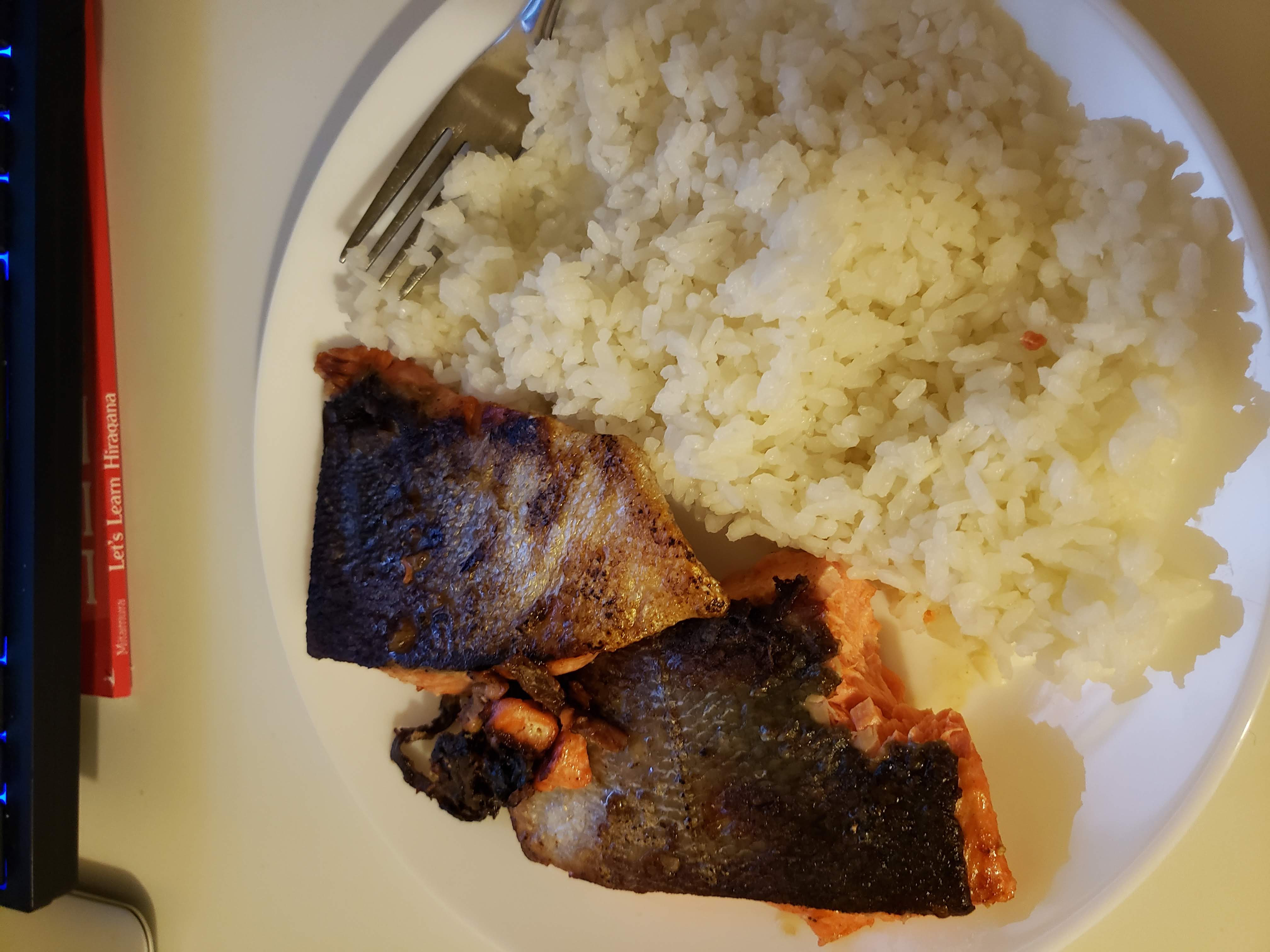 salmon 3