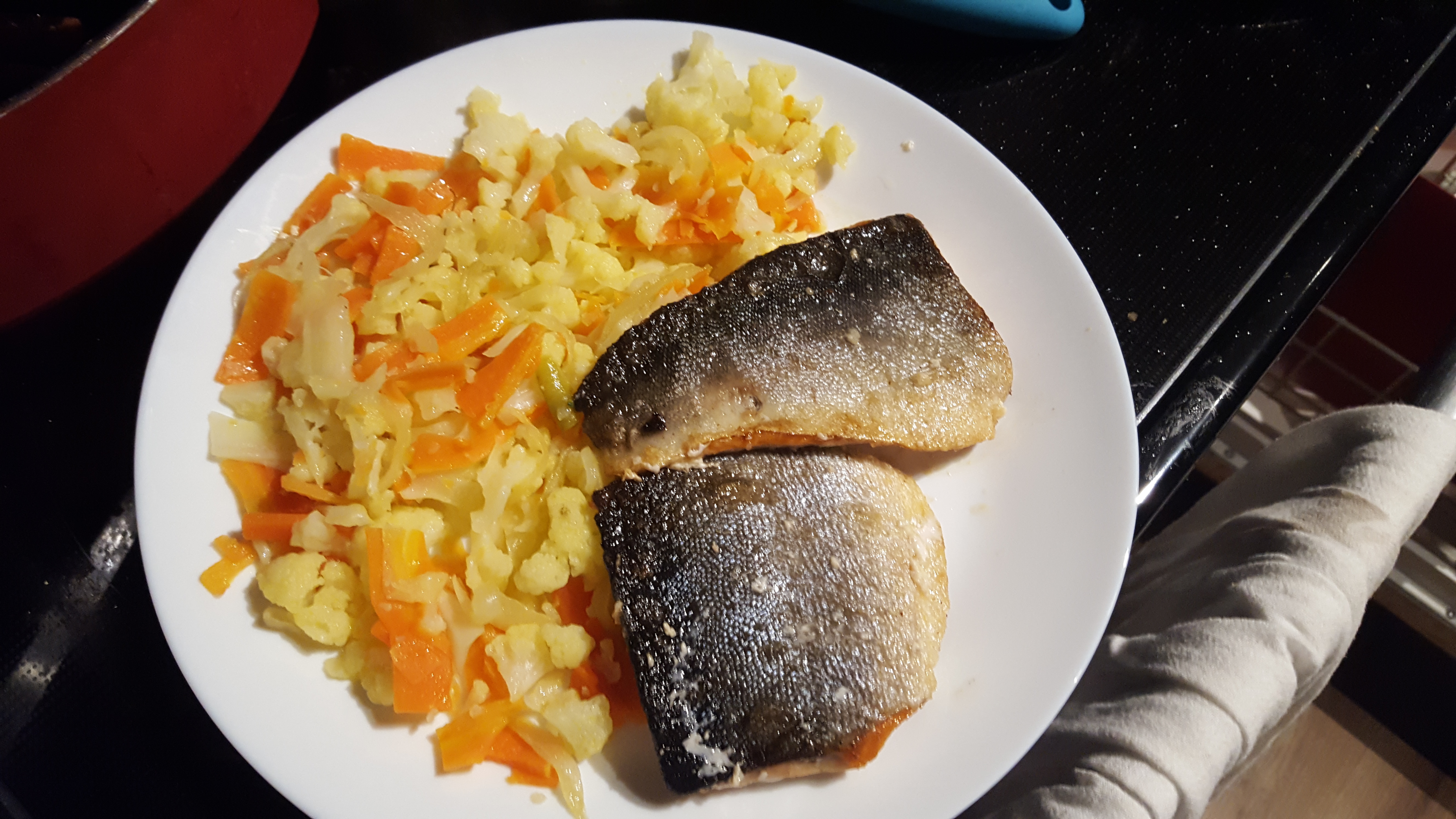 salmon 2